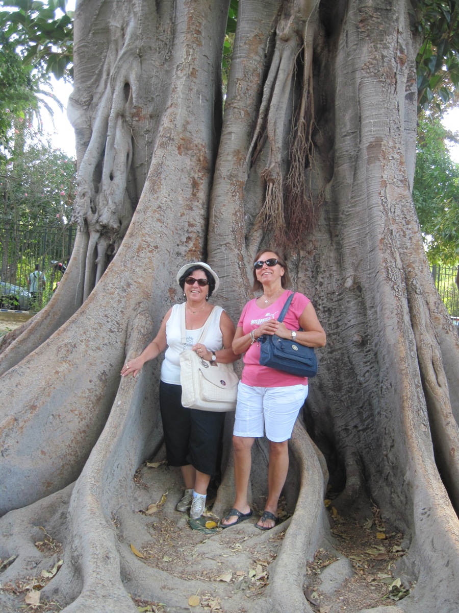 42-La mia amica ed io nel gigantesco albero